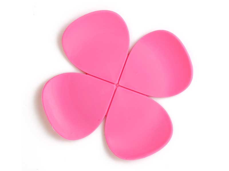 FOUR-DIMENSIONAL FLOWER COASTER