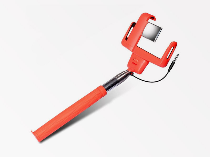 Selfie stick D09