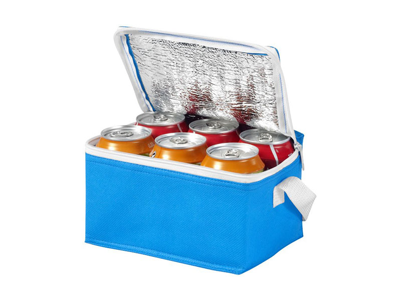 SPECTRUM 6 CAN COOLER BAG
