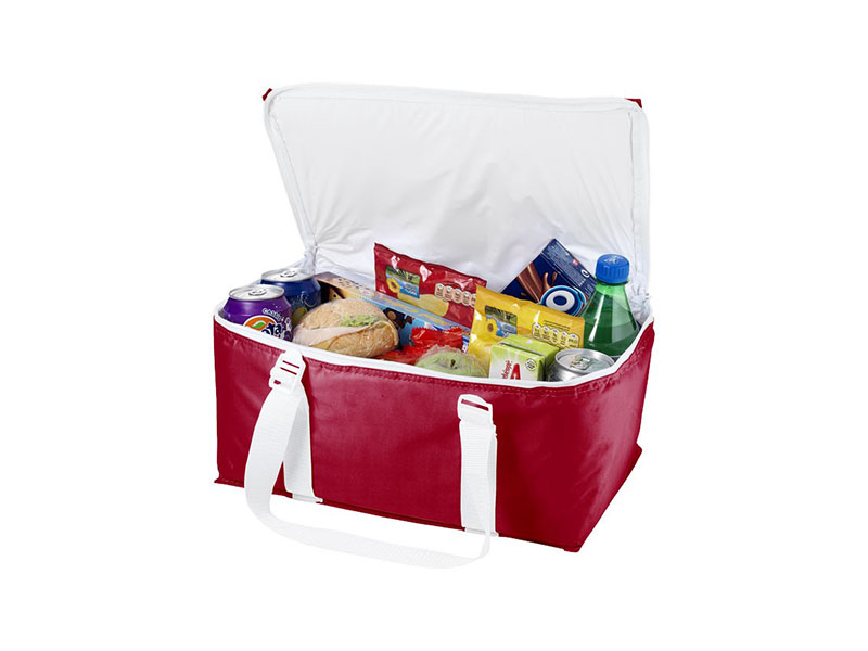 LARVIK COOLER BAG