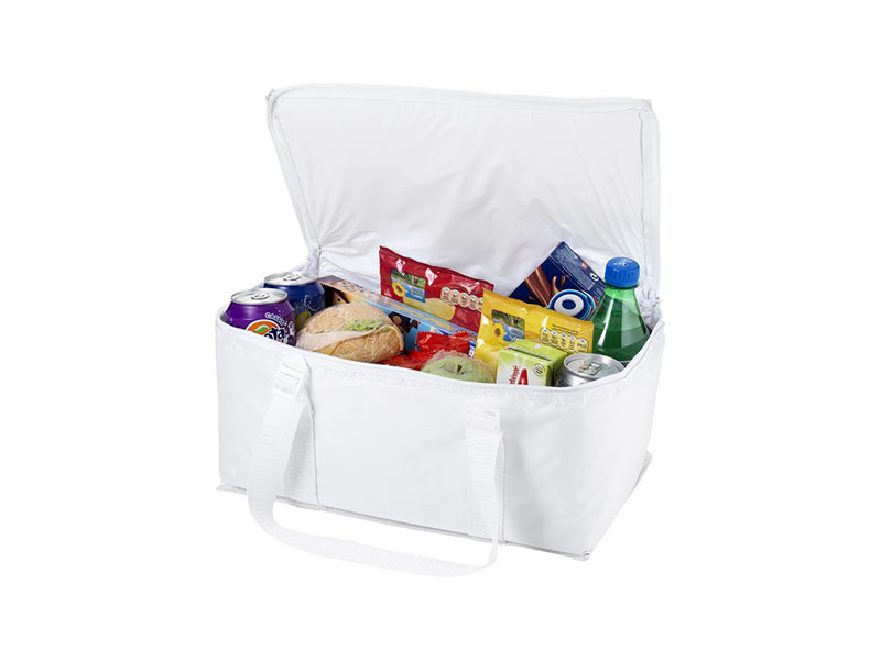 LARVIK COOLER BAG